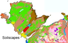 NATMAP Soilscapes - Anglesey