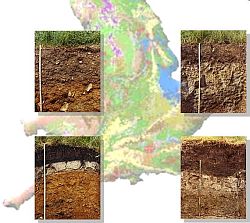 Soil property variability. Image Copyright NSRI, Cranfield University.